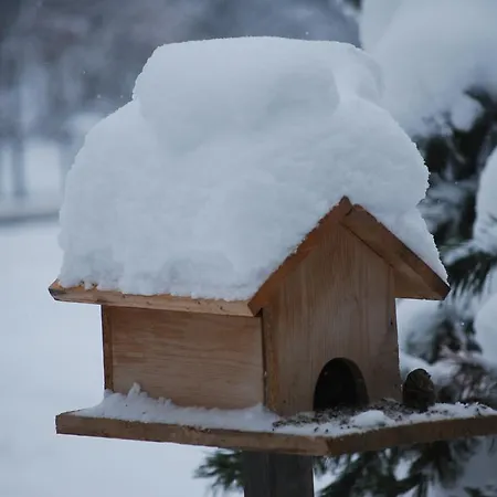 Biohof Seidl באד קליניקירשהיים