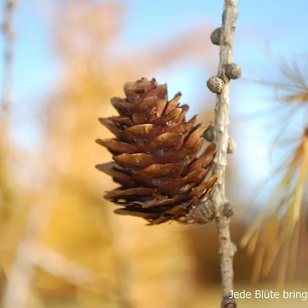 דירה Biohof Seidl
