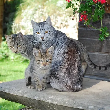 Biohof Seidl באד קליניקירשהיים