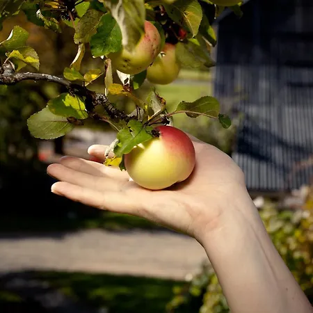 Biohof Seidl 바트키르히하임