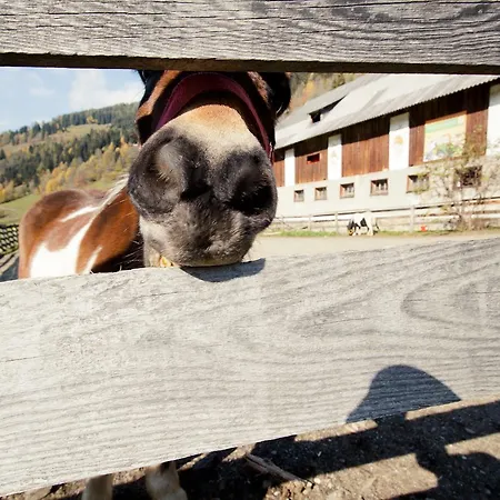 Biohof Seidl דירה *