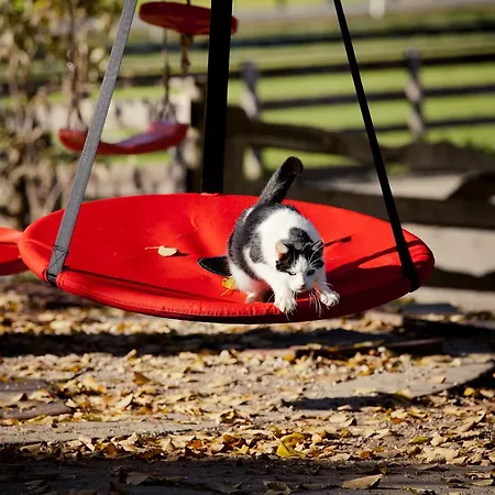 Biohof Seidl באד קליניקירשהיים