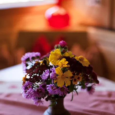 Appartamento Biohof Seidl