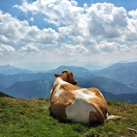 Biohof Seidl דירה באד קליניקירשהיים