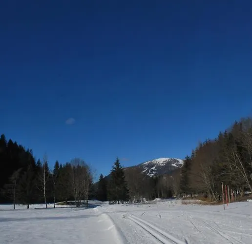 Apartment Biohof Seidl Bad Kleinkirchheim