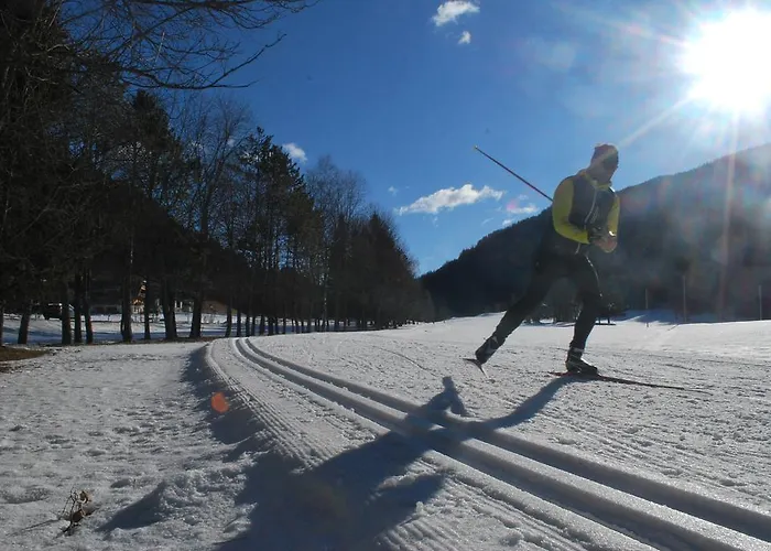 Biohof Seidl Bad Kleinkirchheim