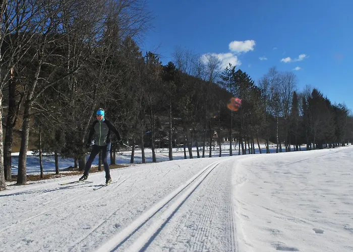 Biohof Seidl Bad Kleinkirchheim