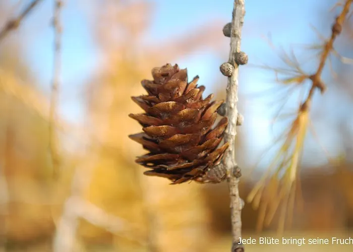 Apartment Biohof Seidl