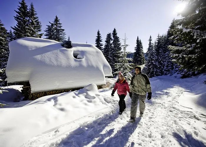 Apartment Biohof Seidl *