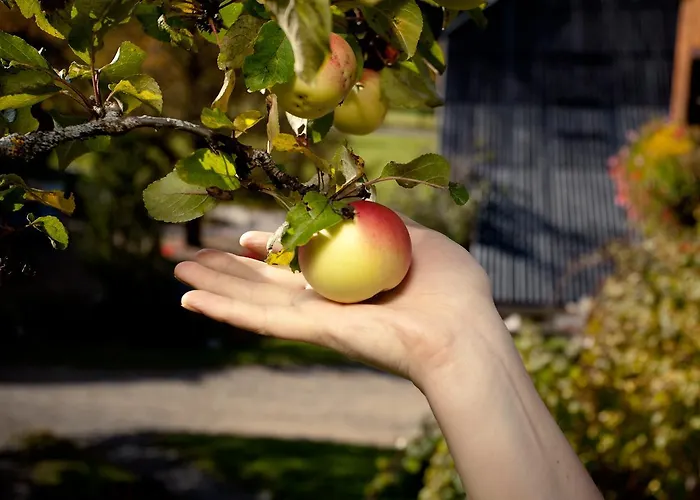 Biohof Seidl Bad Kleinkirchheim