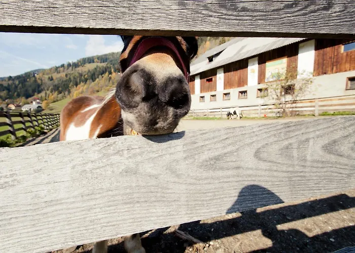 Biohof Seidl Apartment *