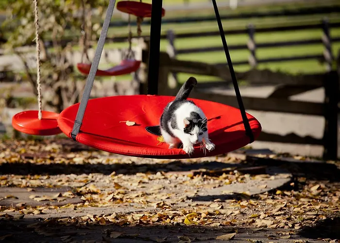 Biohof Seidl Bad Kleinkirchheim