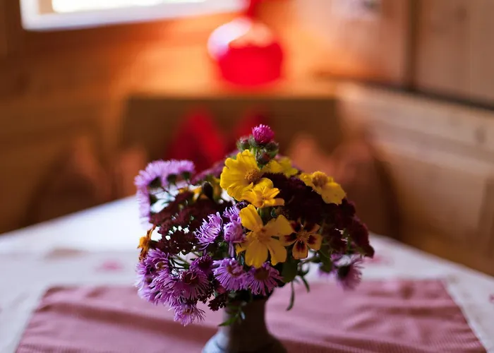 Apartment Biohof Seidl