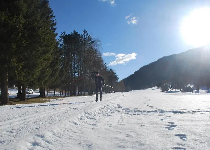 Apartment Biohof Seidl *