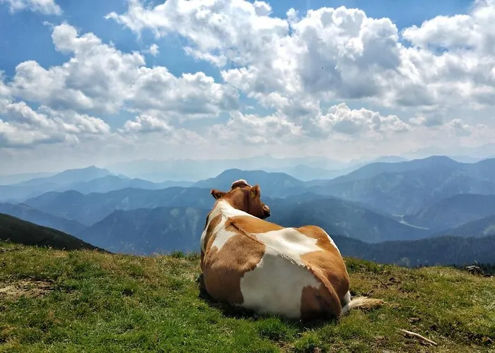 Biohof Seidl Apartment Bad Kleinkirchheim